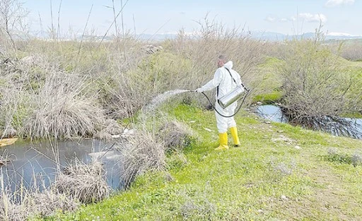 LARVA M&Uuml;CADELESİ &Ccedil;ALIŞMALARI S&Uuml;R&Uuml;YOR