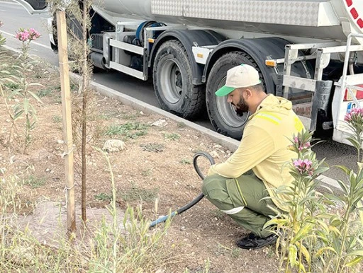 FİDANLARA YAZ BAKIMI
