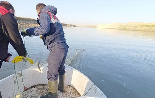 KA&Ccedil;AK BALIK&Ccedil;ILIĞA GE&Ccedil;İT YOK