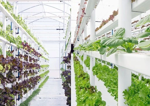 BATMAN&rsquo;DA YENİLİK&Ccedil;İ TARIM GİRİŞİMİNE ZİYARET