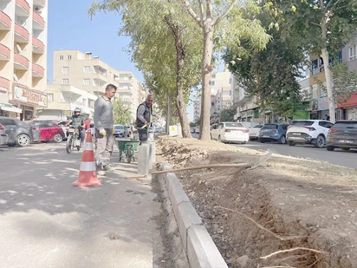 REF&Uuml;JLERDE ONARIM &Ccedil;ALIŞMASI