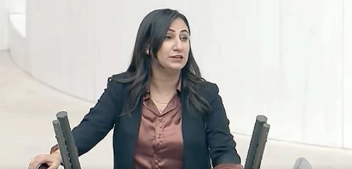 “BU DÜZENLEME HALKIN LEHİNE DEĞİL”