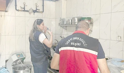 49 İŞ YERİNE GIDA DENETİMİ