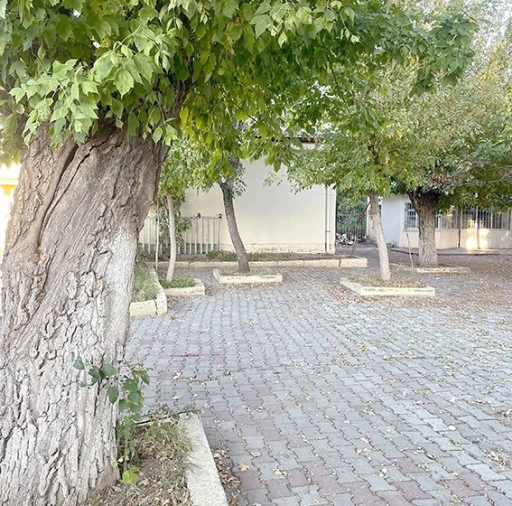 &ldquo;AĞA&Ccedil;LARA KIYMAYIN&rdquo;