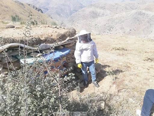 SOĞUK HAVA ARILARI TEHDİT EDİYOR