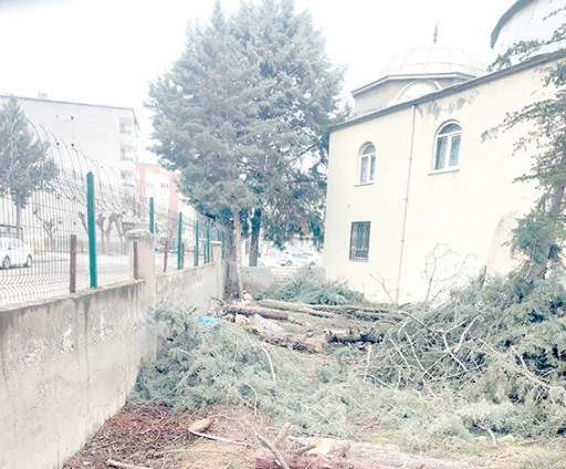 İL M&Uuml;FT&Uuml;L&Uuml;Ğ&Uuml;&rsquo;NDEN AĞA&Ccedil; KESİMİ İDDİALARINA İNCELEME