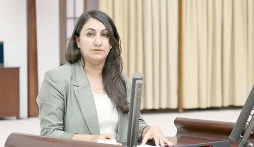 DEM PARTİLİ VEKİLDEN ACİL ÖNLEM ÇAĞRISI