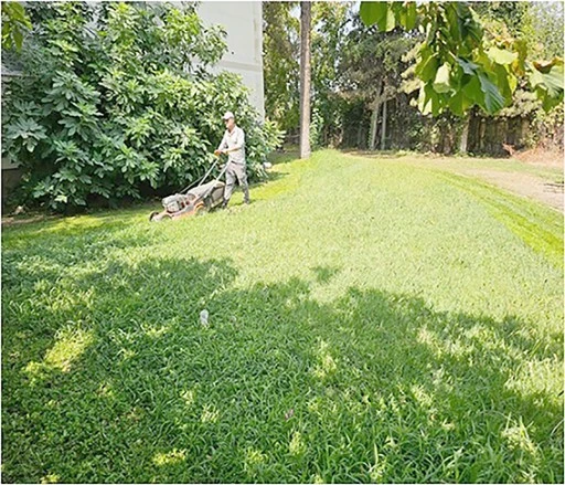 PARKLARDA &Ccedil;ALIŞMALAR DEVAM EDİYOR