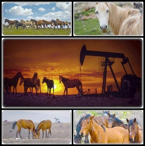 RAMAN&rsquo;IN &Ouml;ZG&Uuml;R RUHLARI