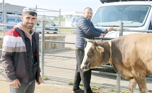 KURBAN BAYRAMI &Ouml;NCESİ HAZIRLIKLAR BAŞLADI
