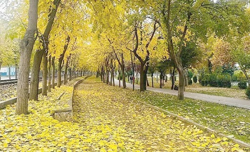 SON BAHARIN HATIRINA DÖKÜLEN YAPRAKLAR SÜPÜRÜLMEDİ