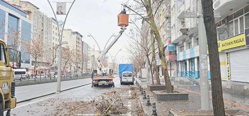 TRAFİĞİ ENGELLEYEN AĞA&Ccedil; DALLARI BULANIYOR
