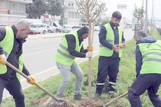 BATMAN&rsquo;A NEFES OLAN AĞA&Ccedil;LANDIRMA SEFERBERLİĞİ