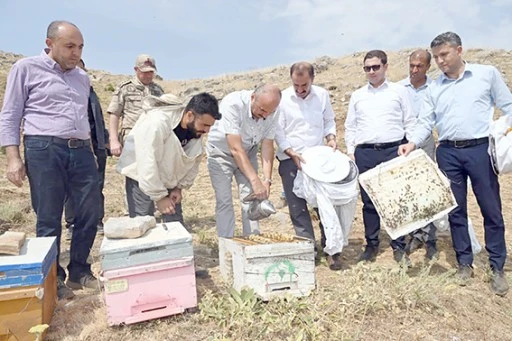 VALİ CANALP, COBET YAYLASI&rsquo;NDA İLK BAL SAĞIMINA KATILDI