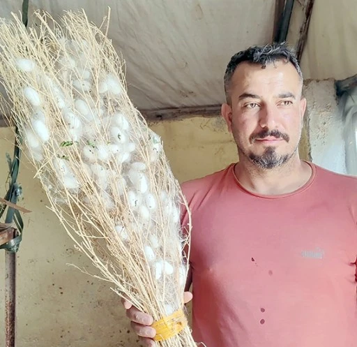 KOZA HASADI SASON&rsquo;DA Y&Uuml;ZLERİ G&Uuml;LD&Uuml;RD&Uuml;