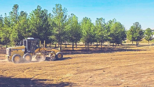 BULVAR CEPHESİNDE D&Uuml;ZENLEME &Ccedil;ALIŞMASI