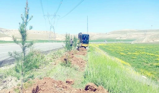 3 YILDA 639 BİN FİDAN TOPRAKLA BULUŞTU