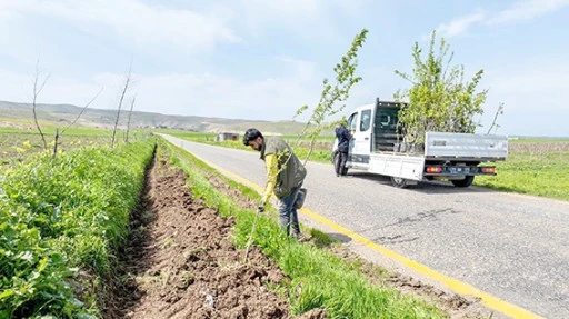 7 KÖY YOLUNA 3 BİN 300 MEYVE FİDANI DİKİLDİ