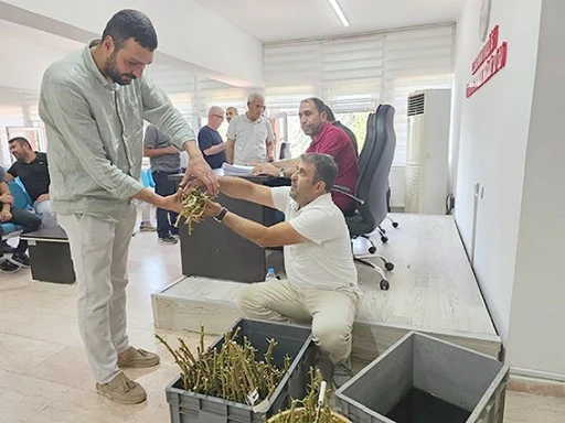 FISTIK &Uuml;RETİCİLERİNE AŞI DAĞITILDI