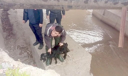 MERAKLI KE&Ccedil;İYİ İTFAİYE EKİPLERİ KURTARDI