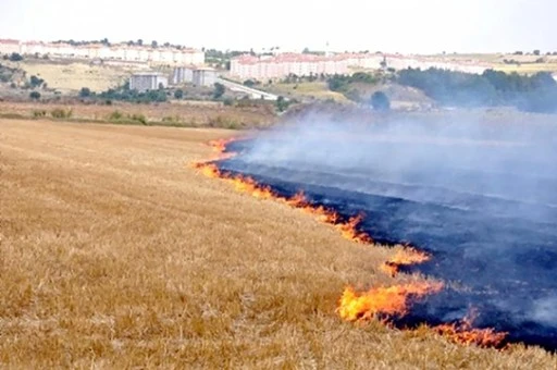 &ldquo;TOPRAK YANIYOR, GELECEĞİMİZ TEHLİKEDE&rdquo;