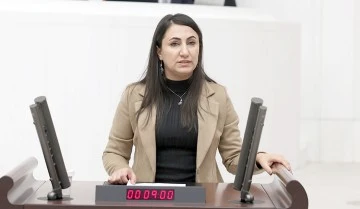 ODUNCU, ENGELLİ HAKLARINI MECLİSTE DİLE GETİRDİ