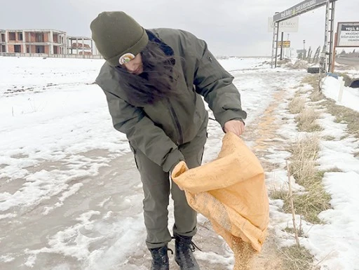ORMANDA NÖBET, DOĞADA HAYAT