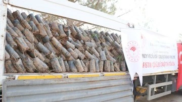 &Ouml;ZEL AĞA&Ccedil;LANDIRMAYA 38 MİLYON LİRA HİBE DESTEĞİ