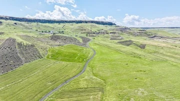 &Ouml;ZEL İDARE&rsquo;DEN ASFALT &Ccedil;ALIŞMASI