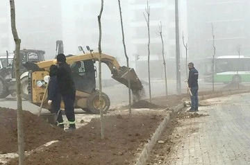 PEYZAJ &Ccedil;ALIŞMALARI DEVAM EDİYOR