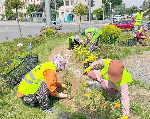 REF&Uuml;JLERE PEYZAJ D&Uuml;ZENLEMESİ