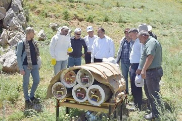 SASON BALINA RAĞBET ARTIYOR