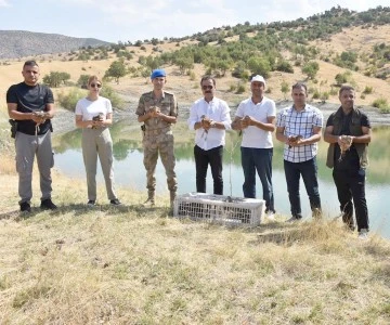 SASON&rsquo;DA S&Uuml;L&Uuml;NLER DOĞA İLE BULUŞTU