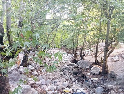 ŞAT DERESİ KURUDU, ESNAF &Ccedil;&Ouml;Z&Uuml;M BEKLİYOR