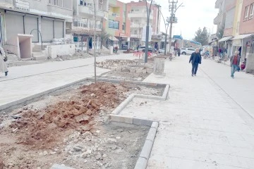 SOKAK SAĞLIKLAŞTIRMA &Ccedil;ALIŞMALARINI YERİNDE İNCELEDİ