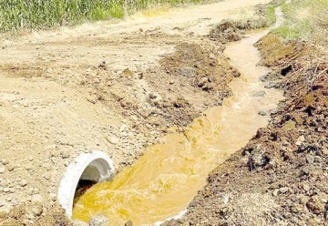 SU TAŞKINLARINA KARŞI B&Uuml;Z &Ccedil;ALIŞMASI