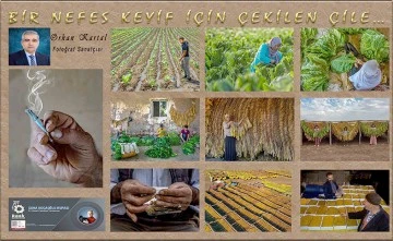 SUHA KOCAOĞLU KUPASINI ORHAN KARTAL KAZANDI