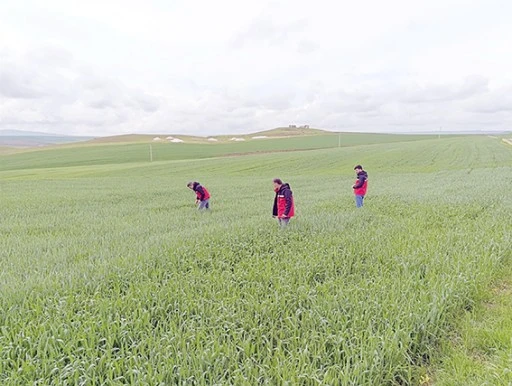 S&Uuml;NE M&Uuml;CADELESİ DEVAM EDİYOR