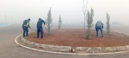 S&Uuml;R&Uuml;C&Uuml; AKADEMİSİ YEŞİLE B&Uuml;R&Uuml;N&Uuml;YOR