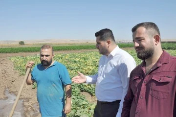 &ldquo;TARLADA ATANAMAYAN &Ouml;ĞRETMEN VAR&rdquo;