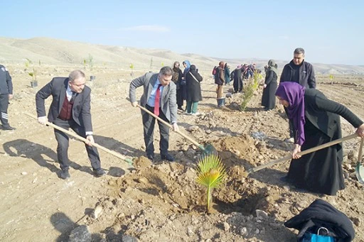 TAZELENME &Uuml;NİVERSİTESİ &Ouml;ĞRENCİLERİNDEN FİDAN DİKİMİ