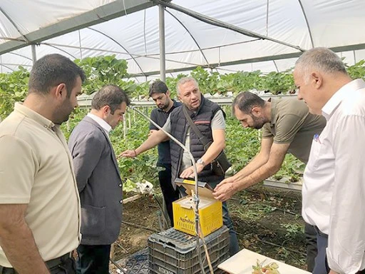 TOPRAKSIZ &Ccedil;İLEK SERASINA ZİYARET