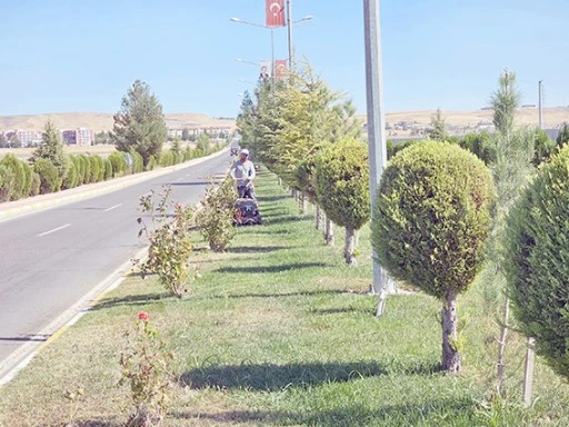 T&Uuml;M YEŞİL ALANLARA 1000'İN &Uuml;ZERİNDE İŞLEM GER&Ccedil;EKLEŞTİRİLDİ