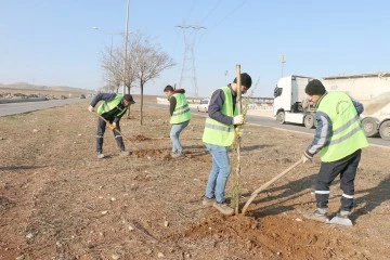 &Uuml;NİVERSİTE G&Uuml;ZERG&Acirc;HI BOYUNCA FİDAN DİKİLİYOR