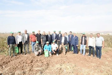 VALİ CANALP, PAMUK HASADI ETKİNLİĞİNE KATILDI
