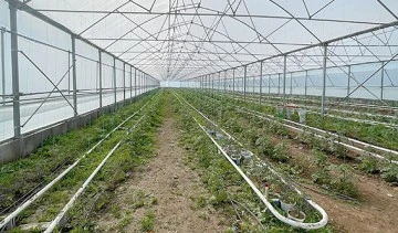 VATANDAŞ, VALİ&rsquo;DEN SOTB İSTİYOR!