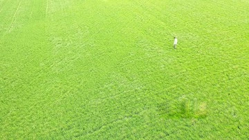 YAĞIŞLAR &Ccedil;İFT&Ccedil;İNİN Y&Uuml;Z&Uuml;N&Uuml; G&Uuml;LD&Uuml;RD&Uuml;