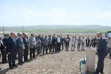 YAĞLIK AY&Ccedil;İ&Ccedil;EĞİ EKİMİ YAPILDI