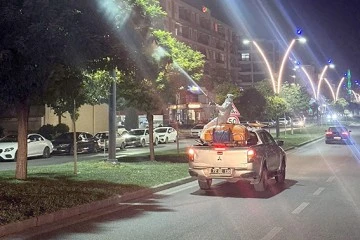 &ldquo;YAPRAK BİTİNE KARŞI &Ouml;NLEM ALIYORUZ&rdquo;