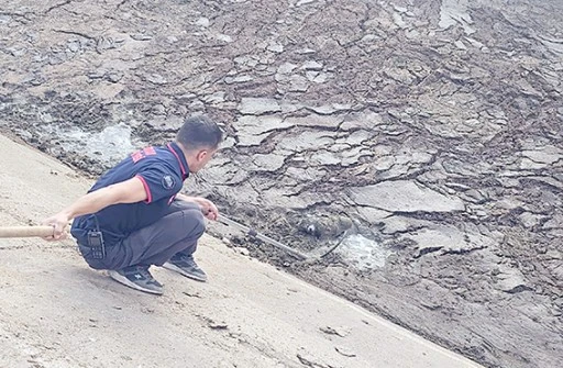 YAVRU K&Ouml;PEĞE KURTARMA OPERASYONU